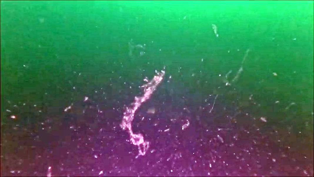 Kabus geri döndü: Sessiz ve derinden ilerliyor! Üniversiteden bilim insanları çalışma başlattı 27